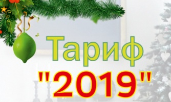 Год интернета за 2019 рублей!