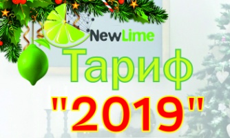 Год интернета за 2019 рублей!