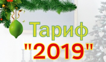 Год интернета за 2019 рублей!